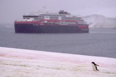 36F81515-CB2C-4971-8771-F23EE7D52DAA_1_105_c