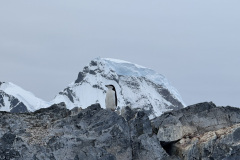 4E68D702-D96F-44C9-AAA8-AA6B57821F32_1_105_c