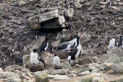 90282E79-A141-4D1B-8C8E-CAD3B1DDC05A_1_105_c