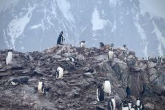 CAD5BD04-8C89-4448-B042-B115361B3160_1_105_c