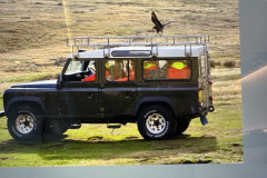 FAB5DE7C-5D4E-4B02-B673-61C7689065A0_1_105_c