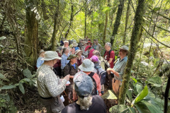 3F2816F2-4918-4C7B-B876-AEA535203635_1_105_c