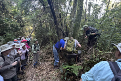 4B9C151A-A6B5-4A64-B98E-30E86A00A883_1_105_c