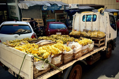 76D9EC24-1C70-4B39-B2A5-5F3CDD83DF49_1_105_c