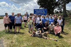 76EBF53F-063A-49C7-BF05-F883020756D4_1_105_c