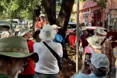 A5F40155-2B5B-4206-8BC7-7F505D7599B7_1_105_c