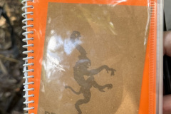 D8033232-2461-422F-915E-EEB60220E6B2_1_105_c