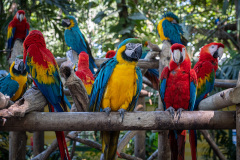 Winter-2020-Cruise-22