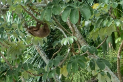 Winter-2020-Cruise-30