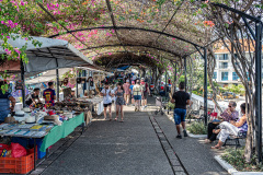 Winter-2020-Cruise-39