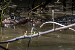 Winter-2020-Cruise-44