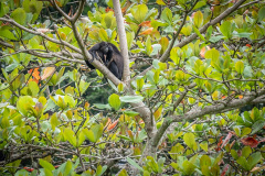 Winter-2020-Cruise-48