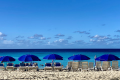 199B1313-0E41-424B-96E4-CD89947B8259_1_105_c