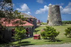 Barbados-9