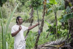St-Lucia-garden-tour-guide