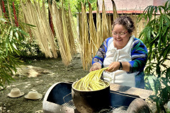 19745AA6-B93A-47E7-A58C-FDBE13156072_1_105_c