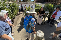 2730B3A1-AE7A-4D2B-8FCE-721CAF6E7C14_1_105_c