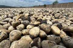 292E6EDD-9E5A-4BC7-839D-643A19A352B0_1_105_c