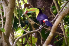 75FCB931-0E97-4E57-9617-C5E7E406733E_1_201_a