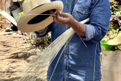 7AC5E3EC-616D-45FC-89E5-ECCF7A4B5449_1_105_c