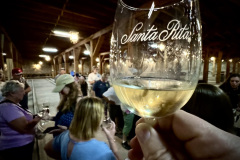 8388C175-6E26-4558-A1D0-FBD25B668E03_1_105_c