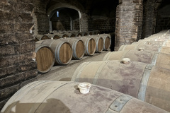 A6449688-3A97-4883-8FF5-A905C36F45B4_1_105_c