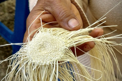 BE35713F-0842-4594-80A5-611694C4F096_1_105_c