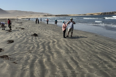 DAE94E19-C696-4066-A76D-25A1F4A96F2C_1_105_c