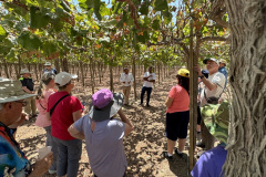 EB9BB030-32ED-4C8B-B7F1-EB364F273CFD_1_105_c