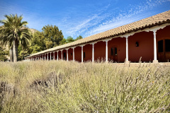 EE8509DA-1F87-43D0-A611-D703D338F648_1_105_c