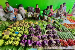 3BC09FB8-F325-42A9-9483-FB9848BA9931_4_5005_c