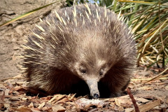 F39292D9-942B-4886-A078-E735DFECE80F_1_102_a